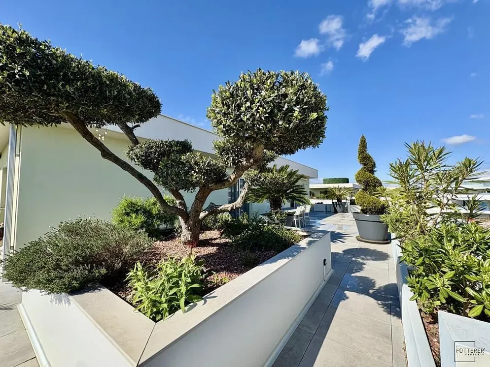 Terrasse; tageslicht, blick