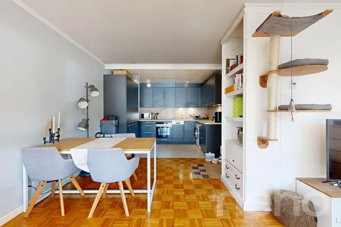 Salon; parquet, lumière naturelle, style moderne