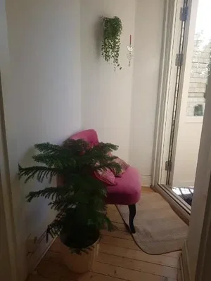Balkon; drveni pod, prirodno svjetlo