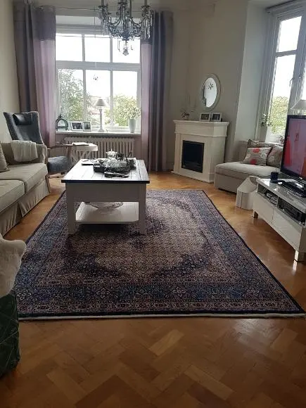 Dnevna soba; drveni pod, kamin, prirodno svjetlo
