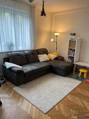 Wohnzimmer; holzboden, tageslicht
