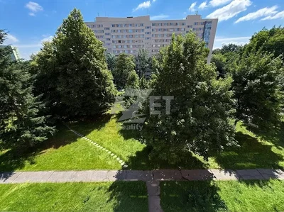 House and surroundings; view, natural light