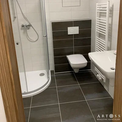 Toilet; tile floor, renovated, natural light