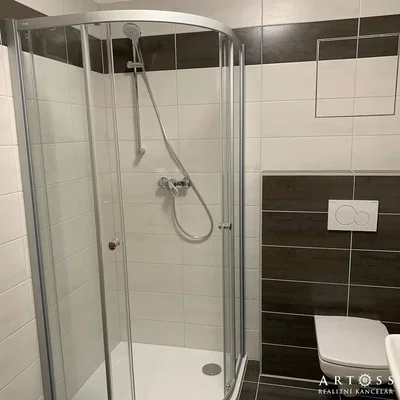 Toilet; tile floor, renovated, natural light
