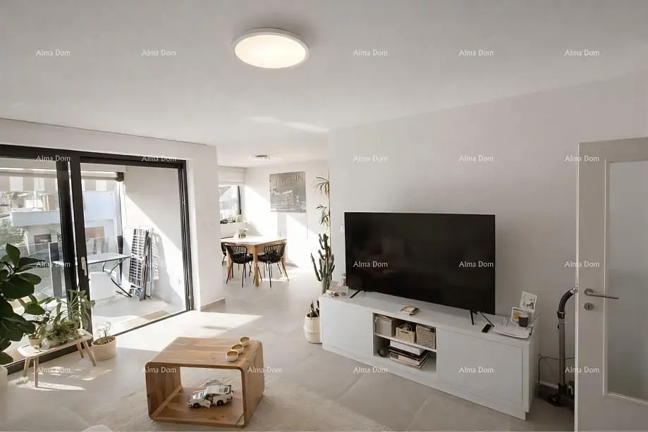 Salón; luz natural, estilo moderno, suelo de madera