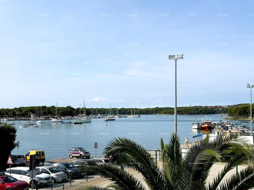 Ostalo; pogled, prirodno svjetlo