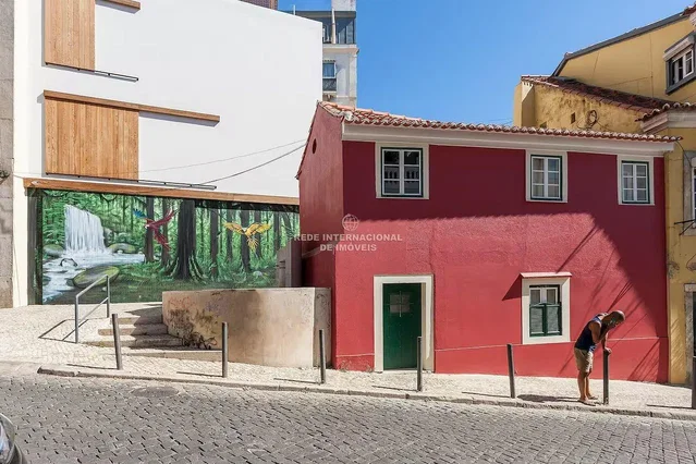 House and surroundings