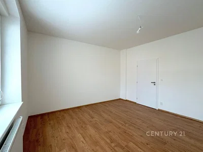 Autre; parquet, lumière naturelle