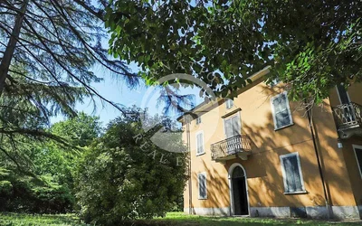 House and surroundings