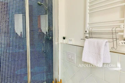 Salle de bain; carrelage, rénové, lumière naturelle