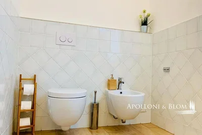 Toilettes; carrelage, rénové, lumière naturelle