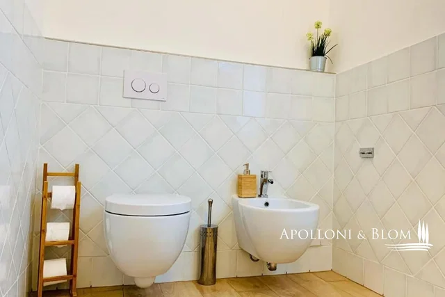 Toilettes; carrelage, rénové, lumière naturelle