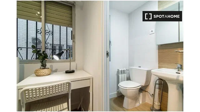 Toilet; natural light, renovated