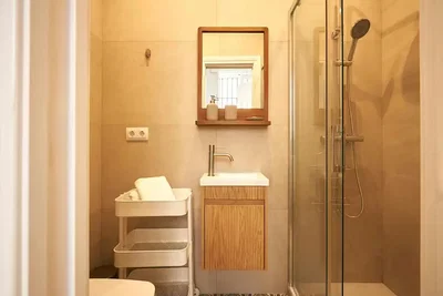 Kupaonica; prirodno svjetlo, renoviran
