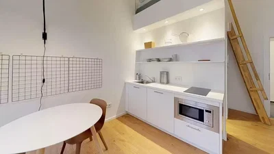 Cucina; pavimento in legno, elettrodomestici, luce naturale