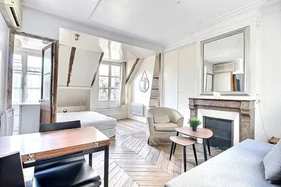 Salon; lumière naturelle, parquet, cheminée, style moderne