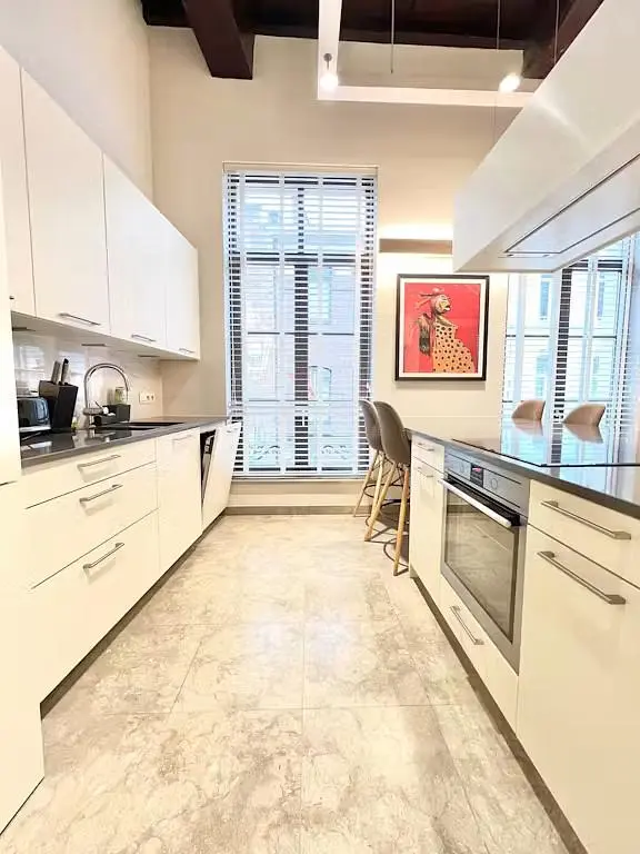 Cucina; elettrodomestici, pavimento in piastrelle, luce naturale, stile moderno, ristrutturato
