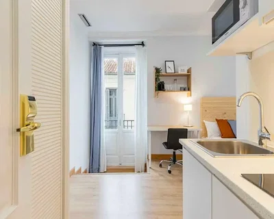 Kuchyně; kuchyňské spotřebiče, přirozené světlo, moderní styl