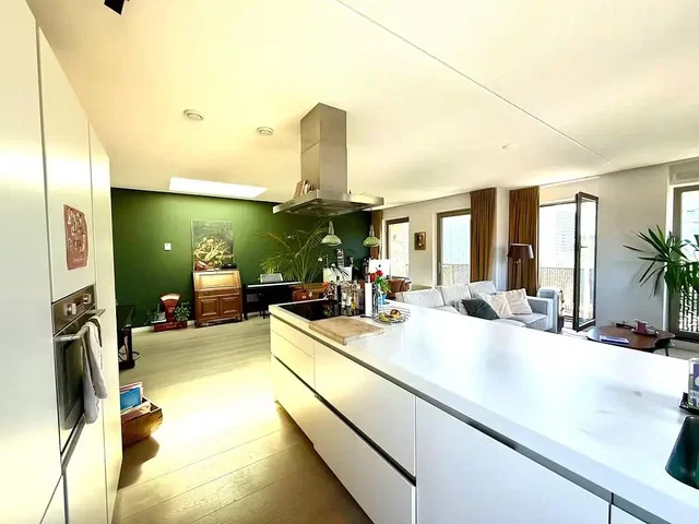 Kuhinja; kuhinjski aparati, drveni pod, prirodno svjetlo, moderni stil
