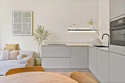 Cuisine; électroménager, parquet, lumière naturelle, style moderne