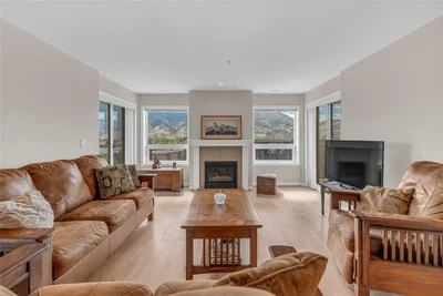 Living room; view, fireplace, natural light, modern style