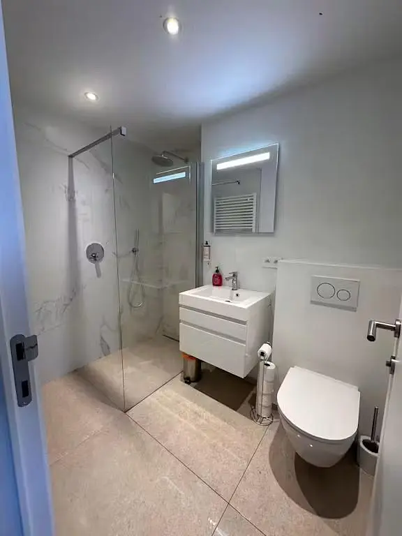 Bagno; pavimento in piastrelle, ristrutturato, luce naturale