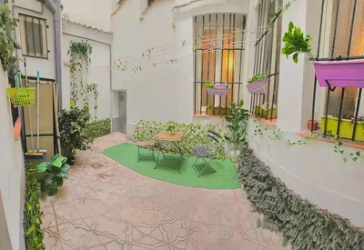 Terrazza; luce naturale, piante