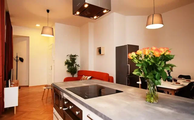 Cozinha; eletrodomésticos, luz natural, estilo moderno