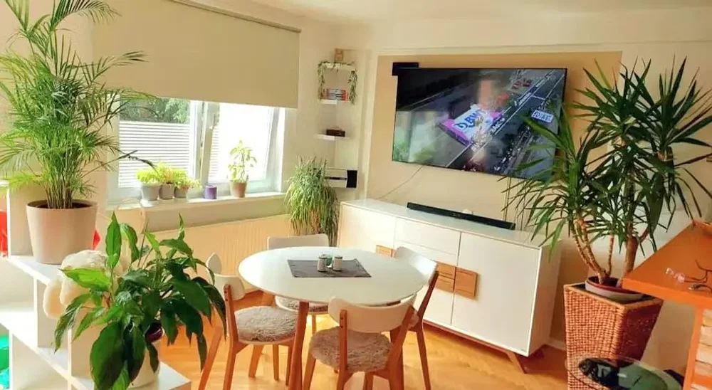 Living room; natural light, modern style