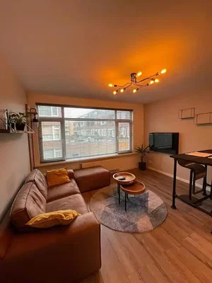 Living room; wood floor, natural light