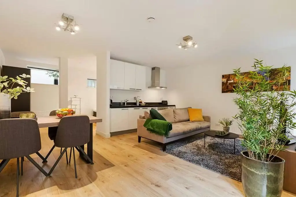Salon; parquet, lumière naturelle, style moderne, électroménager