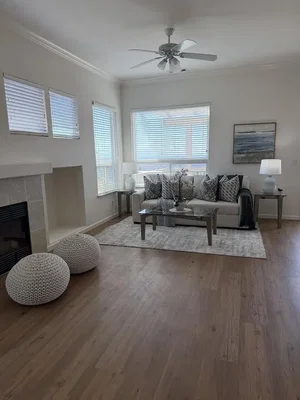 Salon; parquet, cheminée, lumière naturelle