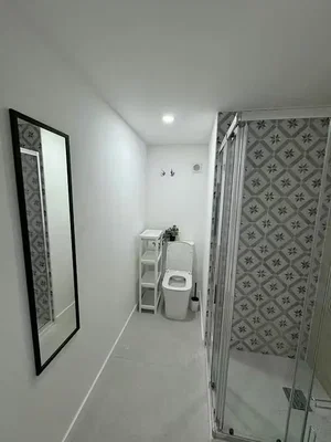 Toilet; tile floor, natural light