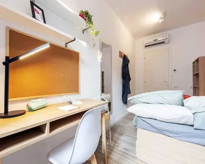 Bedroom; wood floor, natural light