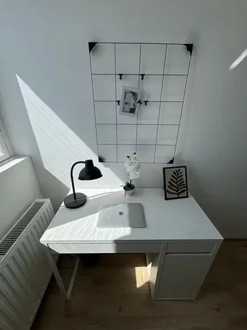 Living room; wood floor, natural light