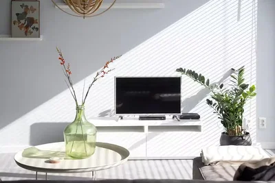 Living room; natural light, modern style