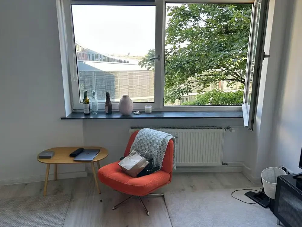 Living room; natural light, wood floor