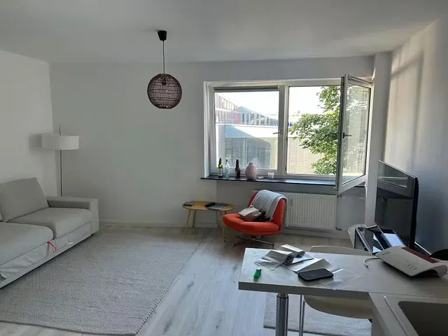 Living room; wood floor, natural light
