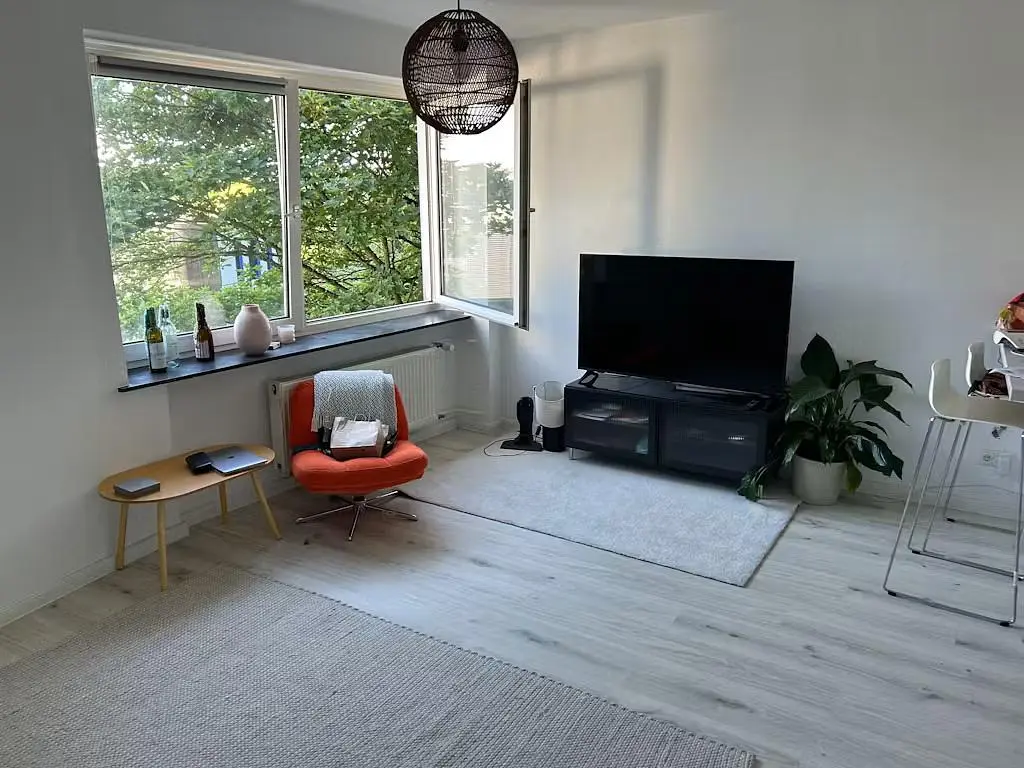 Living room; view, natural light, modern style, wood floor