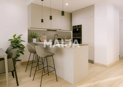 Kitchen; kitchen appliances, wood floor, natural light, modern style