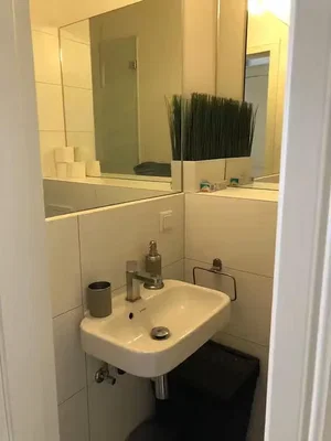 Toilette; pavimento in piastrelle, ristrutturato, luce naturale