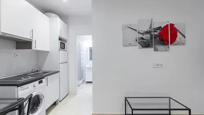 Cuisine; électroménager, lumière naturelle