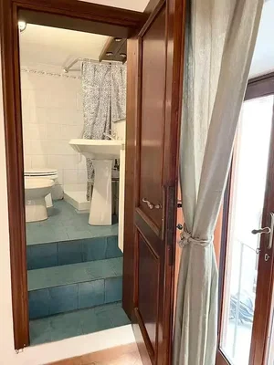 Toalet; pločice, prirodno svjetlo