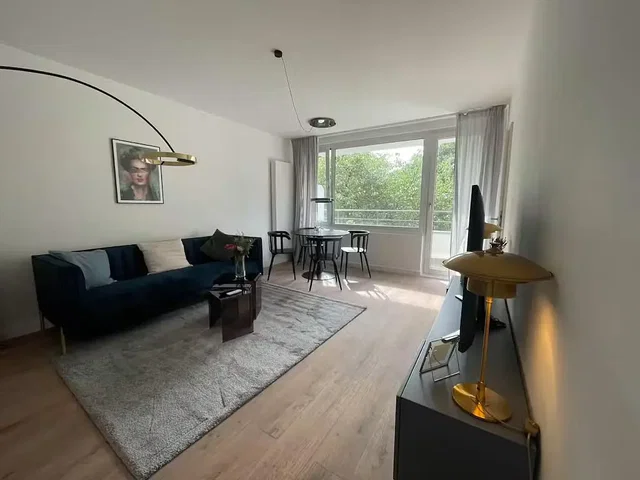 Living room; natural light, wood floor, modern style