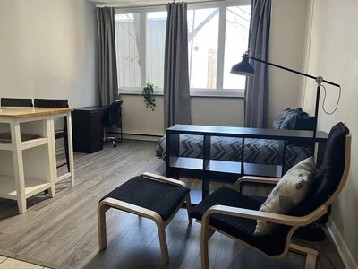 Living room; natural light, wood floor