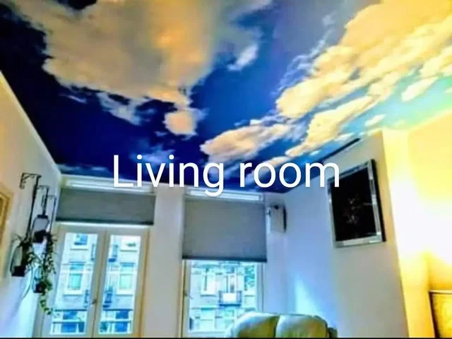 Living room; natural light, modern style