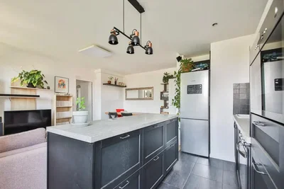 Kuhinja; kuhinjski aparati, prirodno svjetlo, moderni stil
