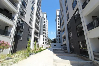 Ev ve çevresi