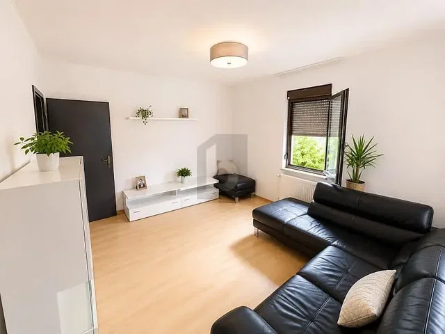 Living room; natural light, wood floor