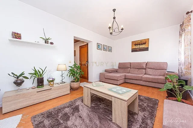 Living room; natural light, wood floor